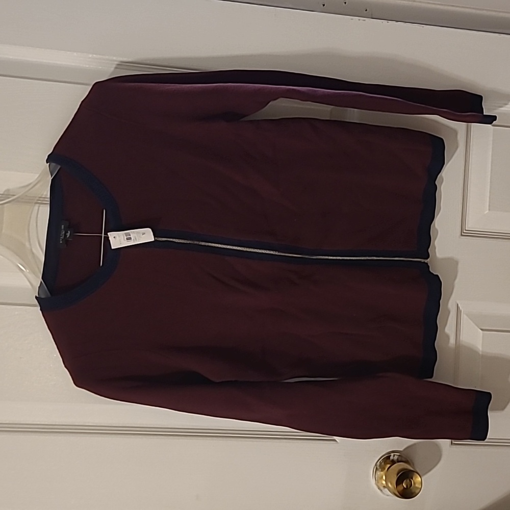 Ann Taylor burgundy with blue sweater